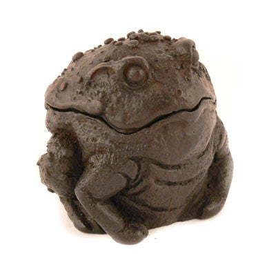 Frog Box- Resin