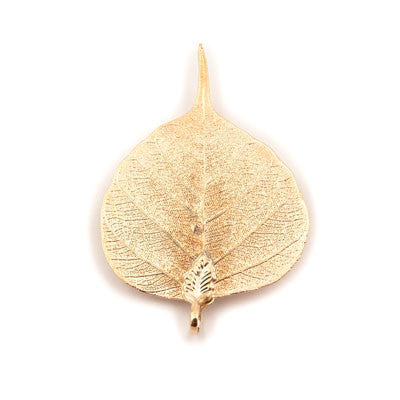 24K Gold Plated Real Bodhi Leaf Broach/Pendant