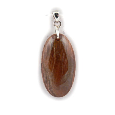 Fossilized Wood- Saskatchewan. Oval Pendant