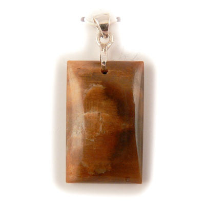 Fossilized Wood- Saskatchewan. Rectangular Pendant