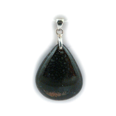 Dinosaur Bone- Ablerta. Teardrop Pendant