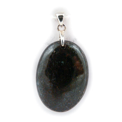 Dinosaur Bone- Ablerta. Oval Pendant