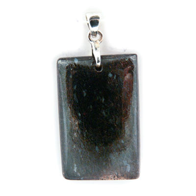 Dinosaur Bone- Ablerta. Rectangular Pendant
